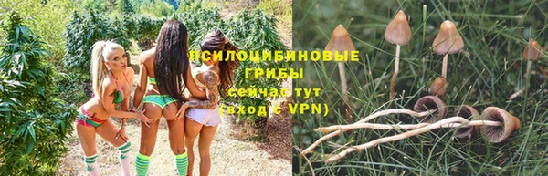 соль курить ск Коряжма