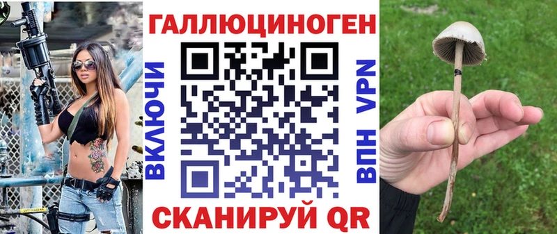 hydra ссылка закладка Алагир Галлюциногенные грибы Psilocybe